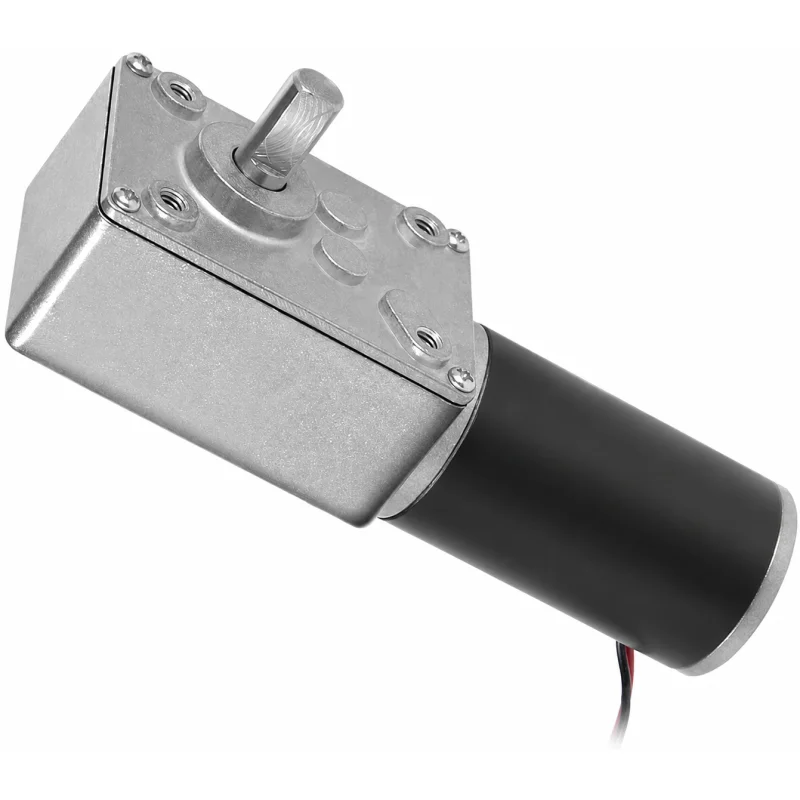A58SW31ZY Worm Geared DC Motor 12V 100RPM High Torque